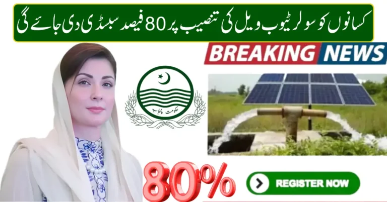 Punjab Solar Tubewell Project 2026