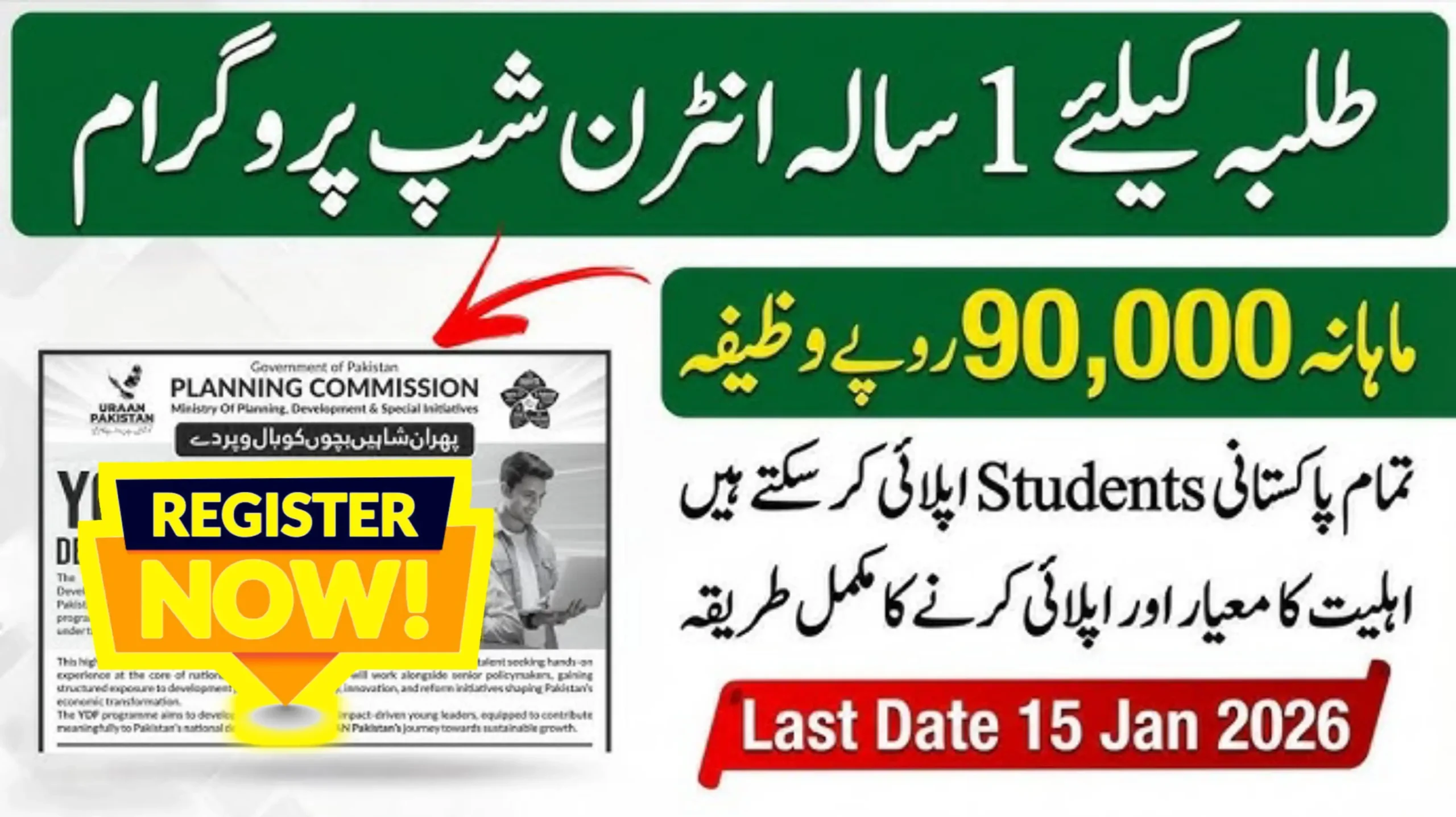 Young Development Fellows Program